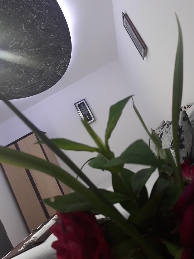 Apartments Aza 多布拉沃达 外观 照片