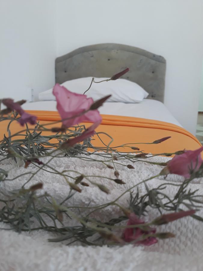Apartments Aza 多布拉沃达 外观 照片